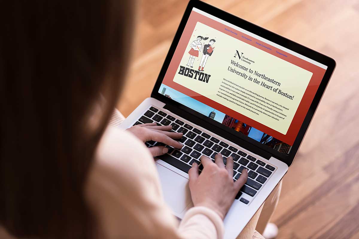 NEU Sustainability Hub